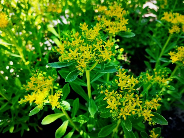 251687654106158991.jpg 6月01.jpg