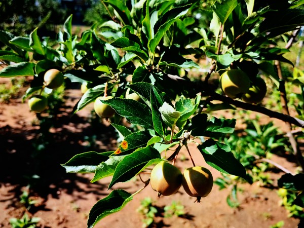 251687654117148842.jpg 6月02.jpg