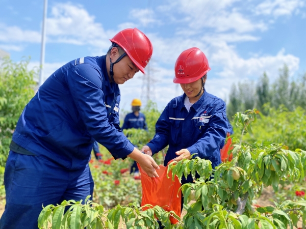 241690191403168405.jpg 采摘活动01.jpg