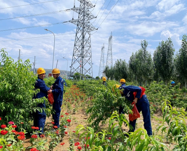 241690191418164966.jpg 采摘活动02.jpg