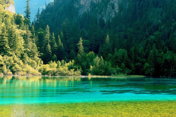 241690191957197498.jpg 盛夏01.jpg