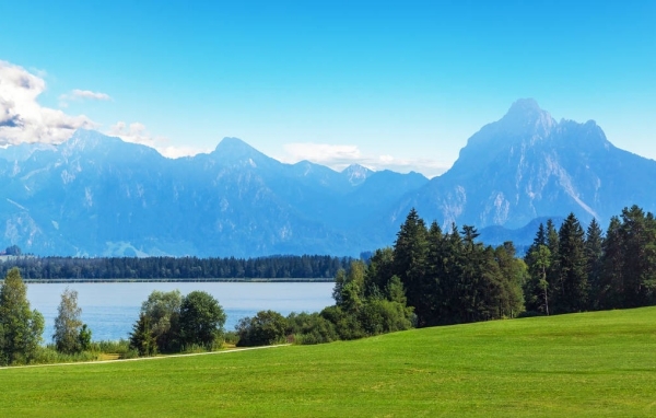 241690191969954365.jpg 盛夏02.jpg