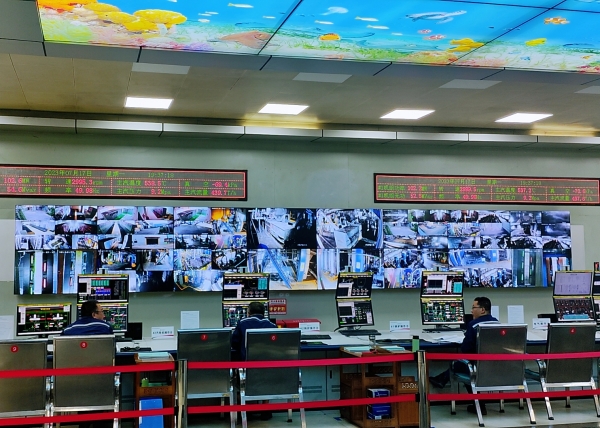 261690361746105160.jpg 夜行者 (3).jpg