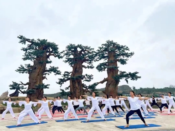 201695203160489121.jpg 办实事16.jpg