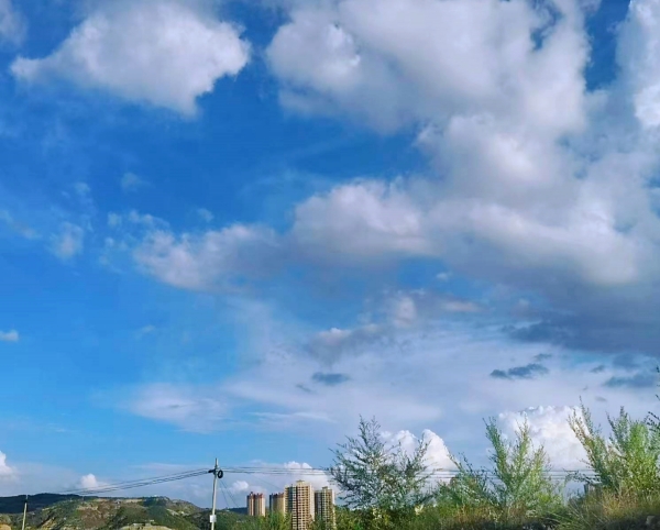 301698656500200017.jpg 秋日组诗 (1).jpg