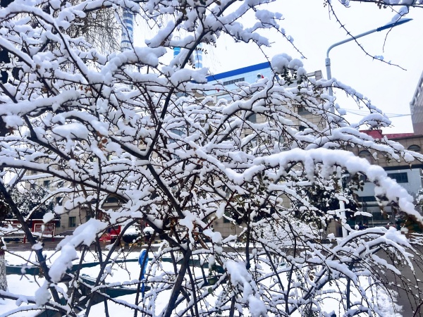 111702293211316868.jpg 雪景10_副本.jpg