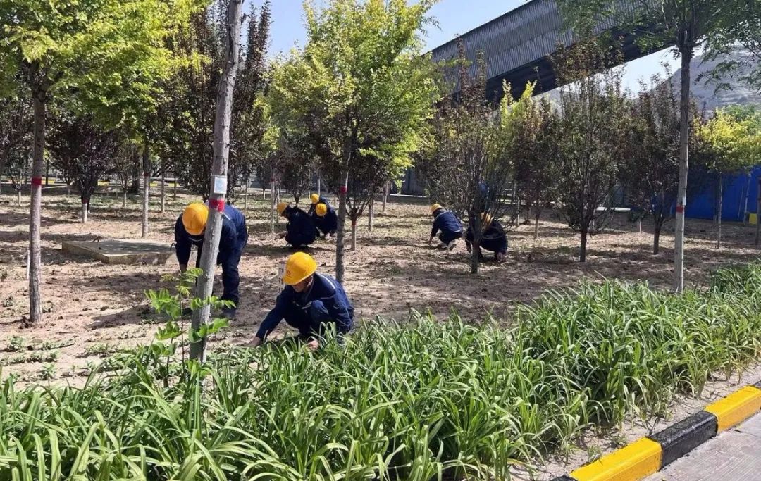 291716944443142726.jpg 微信图片_20240529085957.jpg