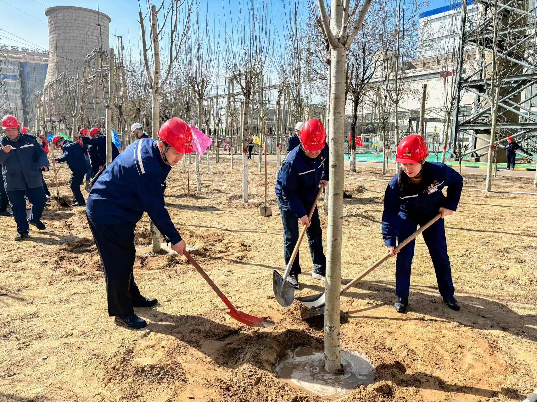 131741838017120258.jpg 微信图片_20250312160405.jpg