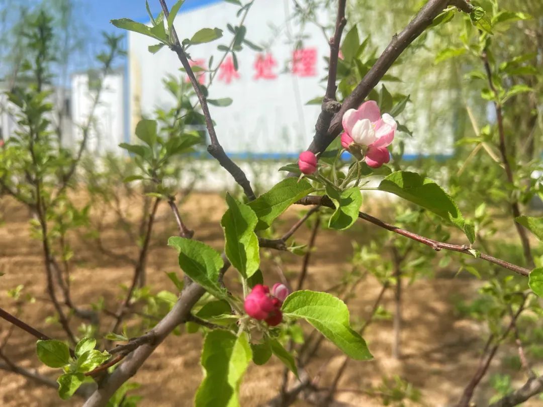 261742949536798188.jpg 640 (6).jpg