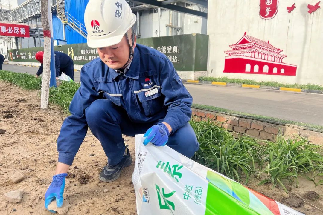 291745897054137827.jpg 640 (4).jpg