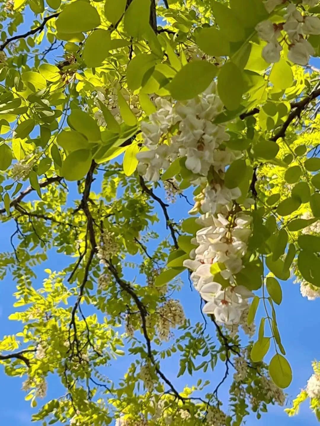 211747789236119737.jpg 640 (3).jpg