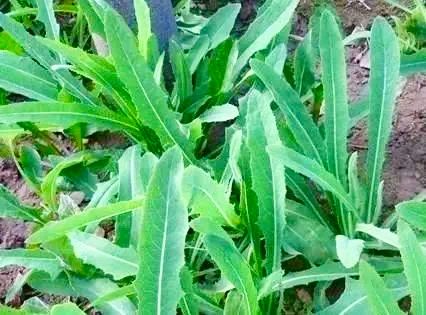 061749196820179903.jpg c9797f05-f95e-408d-a70b-8a098ab4915e.jpg