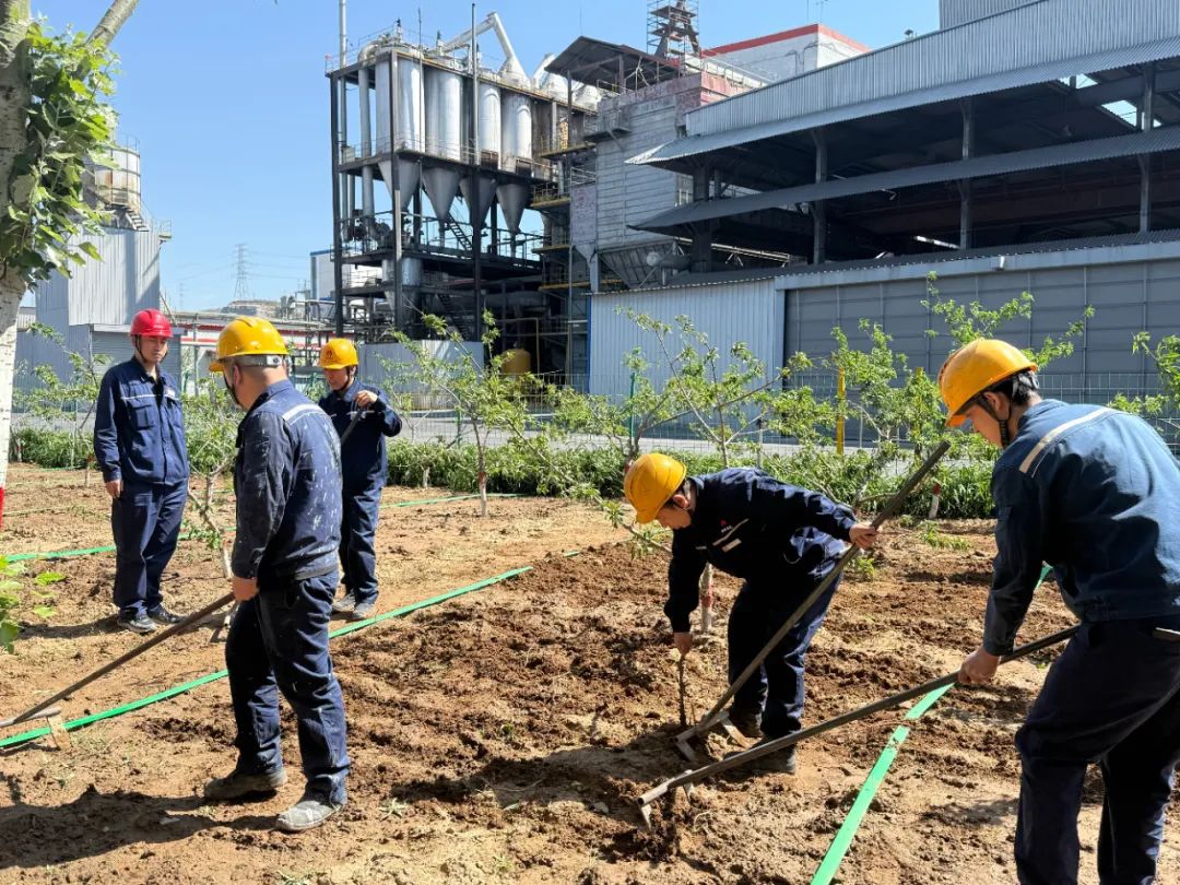 161750037714135036.jpg 640.jpg