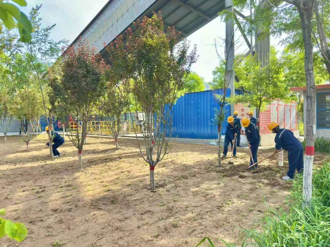 241750725807996211.jpg 640 (2).jpg