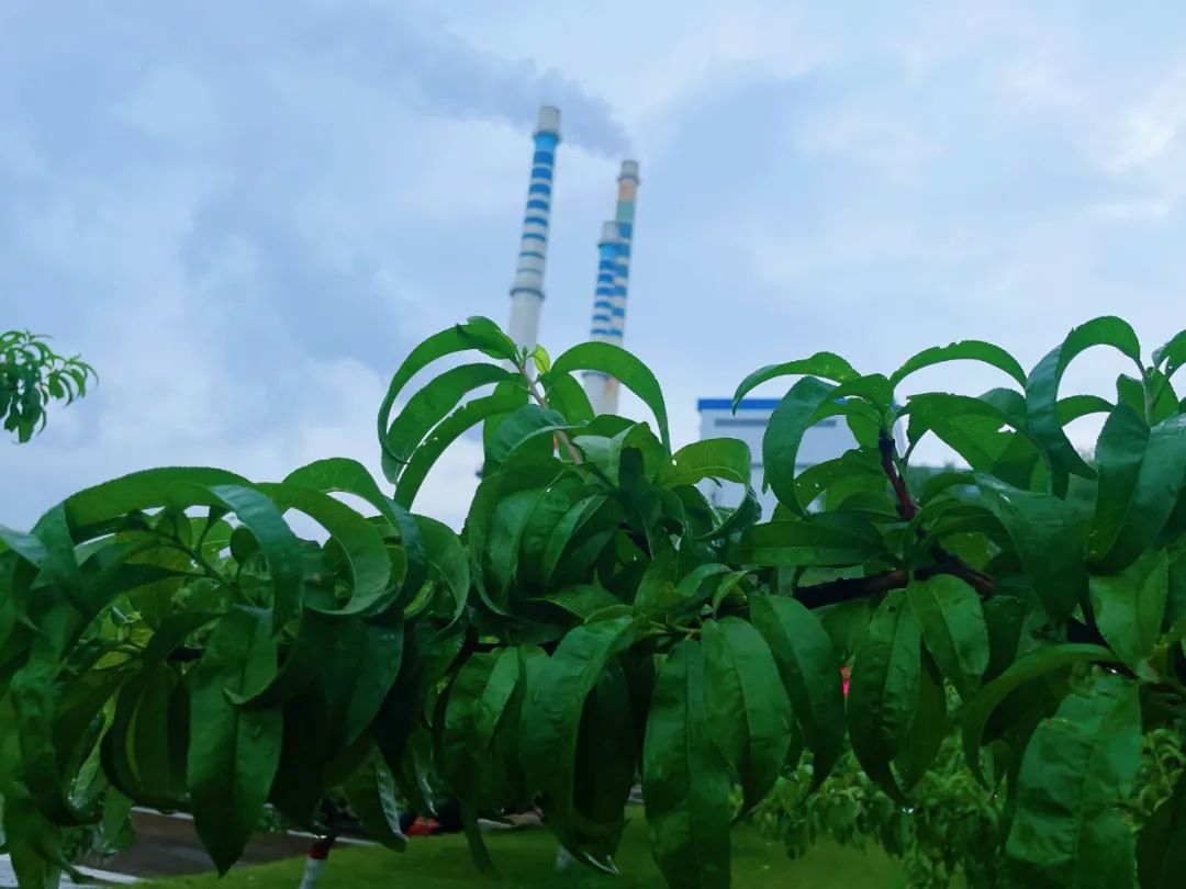 031751529912112931.jpg 640 (5).jpg