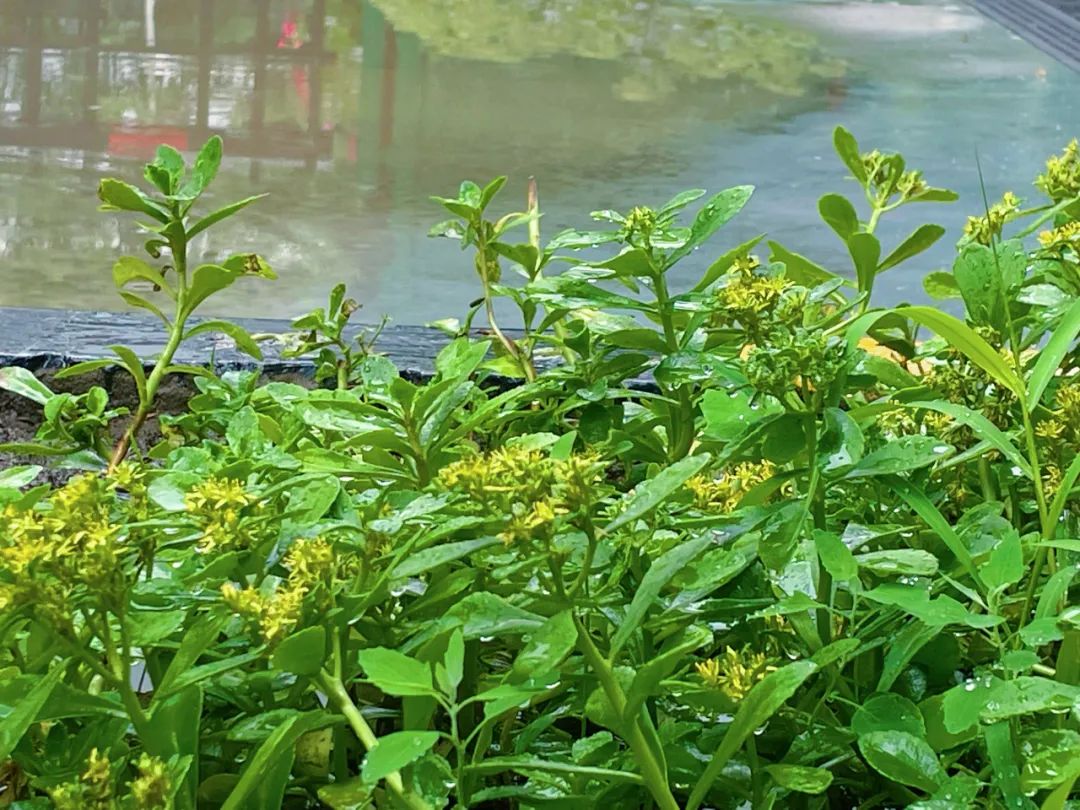 031751529922476295.jpg 640 (6).jpg