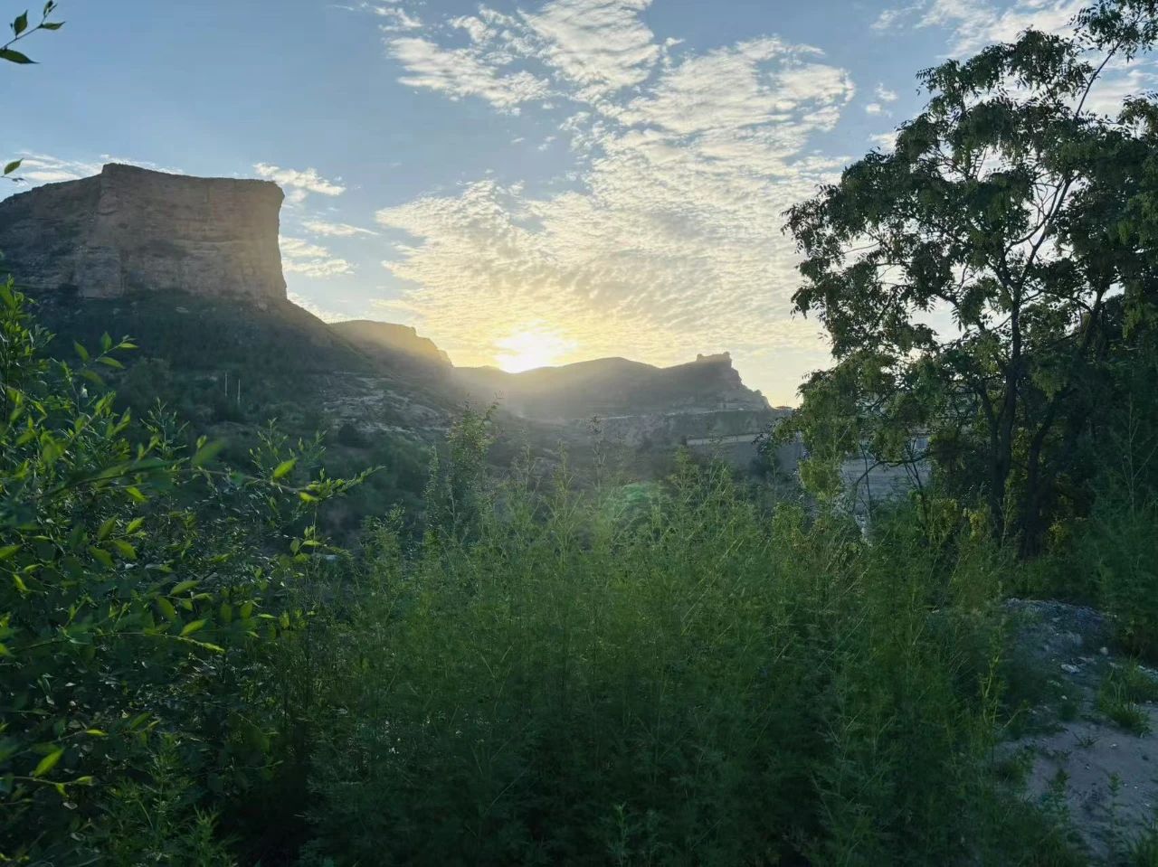 221753146609727353.jpg 3c061486-aec1-437d-bdd8-f1b49dddf6af.jpg