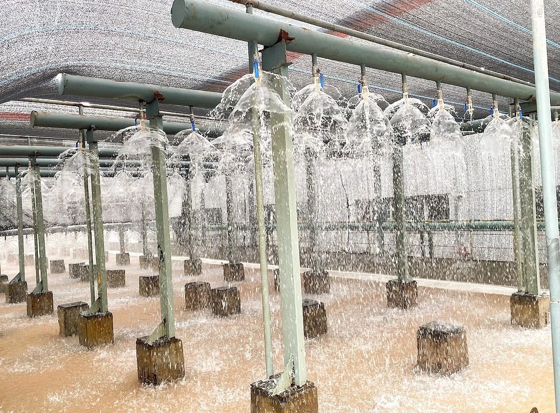 111754903981130471.jpg 微信图片_20250811171916.jpg